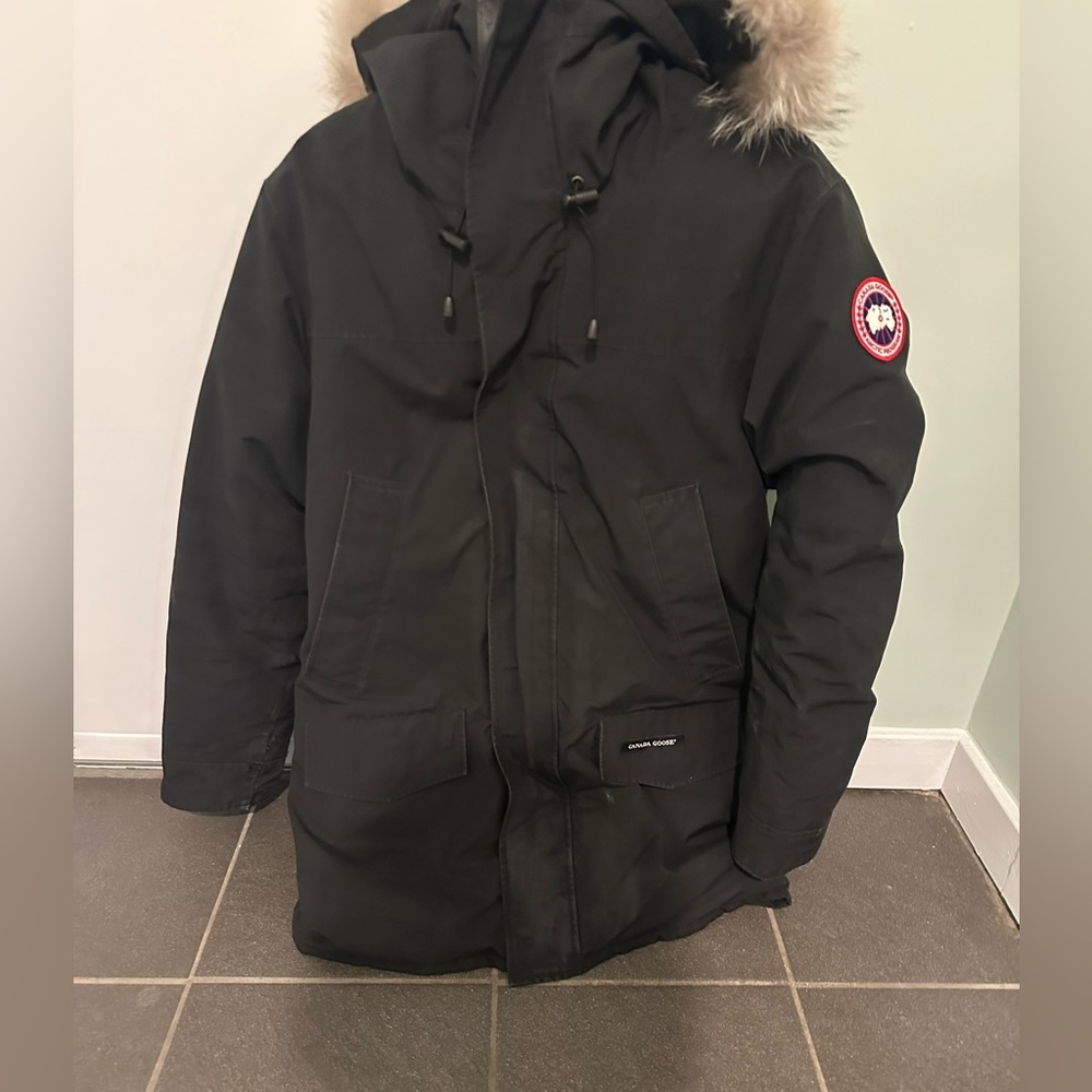 Canada goose Langford